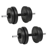 vidaXL Svarmenų rinkinys, 14 vnt., 20 kg