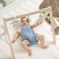 NATTOU Medinė arka su žaisliukais