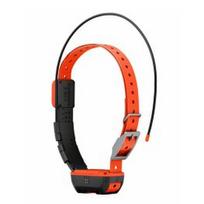 GARMIN Alpha T 20 GPS Dog Tracking Collar elektrinė apykaklė 010-04149-01
