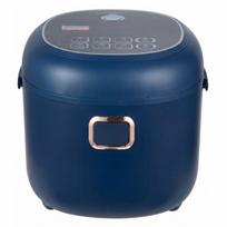 Automobilinis puodas ir ryžių virimo aparatas 12V/24V, 2L