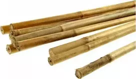 Didelis BAMBUKINIS KOTAS 12/14 mm × 1200 mm (1 vnt.)