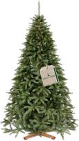 Springos Dirbtinė eglutė Royal Trees Sibiro eglė, 240 cm
