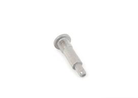 BMW Guolio Varžtas Originalus 11317534771