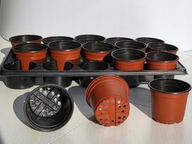 Sėklų sėjimo ir daigų sodinimo rinkinys POTTS 11 + TRAY