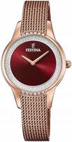 Laikrodis Festina 20496/1