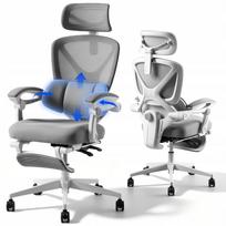 Ergonominė kėdė FlexiSpot OC4 su 3 zonų atrama, BIFMA, namų biurui