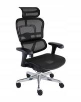 Ergonominė biuro kėdė Ergohuman 2 Basic Mesh juoda
