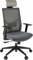 Ergonominė biuro kėdė su porankiais FLEXISPOT BS12, pilka