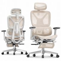 Biuro kėdė FLEXISPOT Ergox, 5D reguliavimas, adaptacinė juosmens atrama, tinklinė, 135°