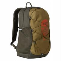 Vaikiška miesto kuprinė The North Face JESTER ruda NF0A52VYNVO