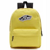 Sportinis kuprinė Vans OLD SKOOL CLASS VN000H4YYGD1