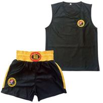 Nemokami Koviniai MMA Muay Thai Šortai ir Marškinėliai Liemenė Sanda Uniforma Sportinis Drakonas Kick Bokso Kostiumas Vyrams XXXL raudona