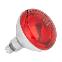 Rebel R125 infraraudonųjų spindulių lempa, 150 W, 220–240 V