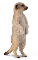 Collecta. Pilkas surikatas