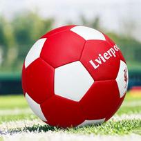 SanHuan World Cup Replica Size 5 Thermal Bonded PU Soccer Ball