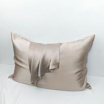 Heavyweight 22 Momme Double-Sided Silk Pillowcase with Invisible Zipper - Multi-Color Mulberry Silk 20x26 inches abrikosas
