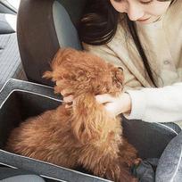 Car Seat Armrest Booster Console Pet Seat Portable Armrest Booster Seat Non-slip Dog Protection Seat With Cooler Mat For Pets United States