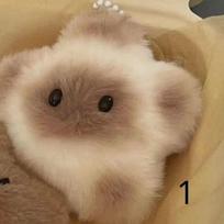 Capybara Plush Doll Star Squeak Toy Cartoon Star Keychain Pendant Soft Stuffed Doll Backpack Car Bag Key Ring Decor Kid Gifts LS brown
