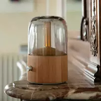 Drėkintuvas Eterinių aliejų garintuvas Lanaform Davy Mist