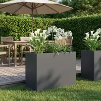 Sodo vazonas Antracito 60 x 30 x 50 cm Šaltai valcuotas plienas