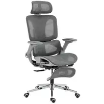 Ergonomiška biuro kėdė, tinklinis kompiuterio fotelis su atskira nugaros ir juosmens atrama, 4D sulankstomais porankiais, pilka