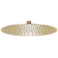 vidaXL Lietaus dušo galvutė, auksinė, 30cm, nerūdijantis plienas