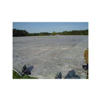 Agroplėvelė augalams 19 g/m², 10,5x100 m, balta