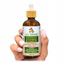 Liposominis vitamino B kompleksas B1 B2 B3 B5 B6 B9 B12, 100 ml
