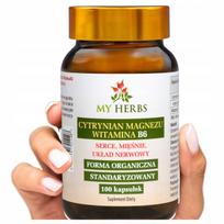 Maisto papildas Magnesium citrate Vitamin B6, 100 kaps.