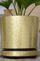Gėlių vazonas GOLDEN LACE 21 nėrinių raštas