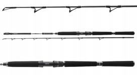 Jūrinė ritė DAIWA BG DEEP SEA 220/150-400g