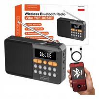 Nešiojama mini FM radijo Bluetooth kolonėlė su baterija