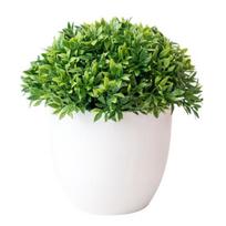 Dirbtinis bonsai Gana tikroviškas išskirtinis žolės miniatiūris Mini dirbtinis bonsai Dirbtinis bonsai vakarėliui