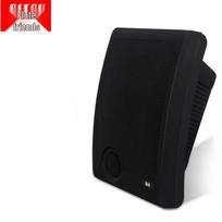 Diyou Indoor Wall-Mounted Speaker CN plug (adapter included) (CN version)