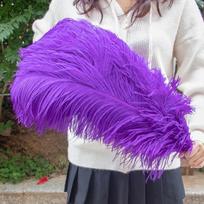 10vnt. rinkinys spalvotų stručio plunksnų rankdarbiams Balta didelė plunksna Dekoravimui Stalo puošmenos Rankdarbiai Karnavalo Vazos Dekoravimas 15-20cm 6-8inch violetinė