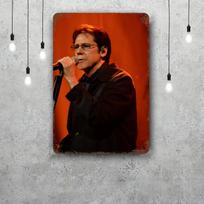 Shakin Stevens Dekoracijos Senovinės Metalinės Plakato Dėžutės Alavo Plakatas Kapitono Plakatas Dekoracijai Barui Pub'ui Klubui Vyriškam Urveliui Sienos Dekoras 20x30cm（7.8x11.8inch） black
