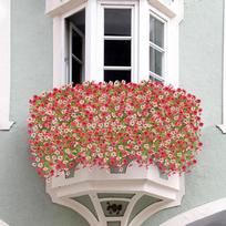 Elegant Faux Eucalyptuses Morning Glory Silk Wall Decoration Realistic Florals Greenery For Indoor Garden Wedding geltonai oranžinės spalvos