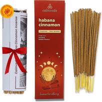 Havanos cinamono smilkalų lazdelės Egzotiškos - Raminantys meditacijos smilkalai 80 lazdelių brown