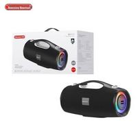 Newsmy BT100 Outdoor Karaoke Bluetooth Speaker CN plug (adapter included)