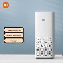 Xiaomi AI Speaker 2nd Gen CN plug (adapter included)