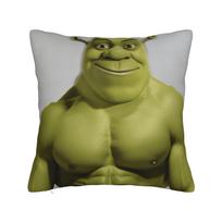 Shreko Juokingos Pagalvės Užvalkalai Naujoviškas Pagalvės Užvalkalas Sofai, Sekcijai, Miegamajam Spausdintas Pagalvės Dangalas 12x12Inch gray