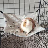 Lovely Double-sided Guinea Pig Hammock Ice Silk Skin-Friendly Hamster Hammock 4 Hooks Breathable Small Pet Supplies