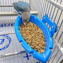 Bird Baths Tub Bowl Basin Parrot Cage Hanging Bathing Box Bird Birdbath Tub mėlyna
