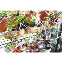Water Timer Solar Powered Intelligent Plant Drip Irrigation Watering Pump Kit beige