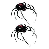 3D Voras Laikinos tatuiruotės lipdukai Vandeniui atsparus kūno menas kaklui, rankai, nugarai Realistiški voro tatuiruočių lipdukai Helovino vakarėliams 2pcs black