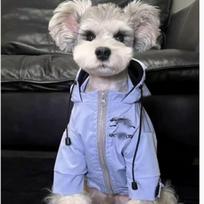 Trendy Pet Windbreaker: Warm Autumn/Winter Clothes for Small Dogs & Cats (Teddy, Bichon, Schnauzer, French Bulldog) L Back 34 cm ~8–10 lbs gray