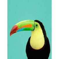 Atogrąžų augalų plakatas ir spaudinys Tukanas Flamingas Papūga Ananasas Drobės tapyba Nordic sienos meno paveikslas Namų dekoras Cuadro 21x30cm No Framed