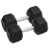 vidaXL Svarmenys, 2vnt., 12,5kg, viso liejinis geležis