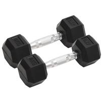 vidaXL Svarmenys, 2vnt., 4kg, viso liejinis geležis