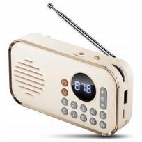 Nešiojamas retro FM radijas, MP3, USB, microSD, Bluetooth kolonėlė